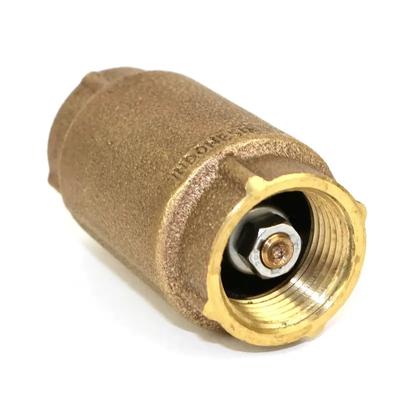 1-1/4" Check Valve 1