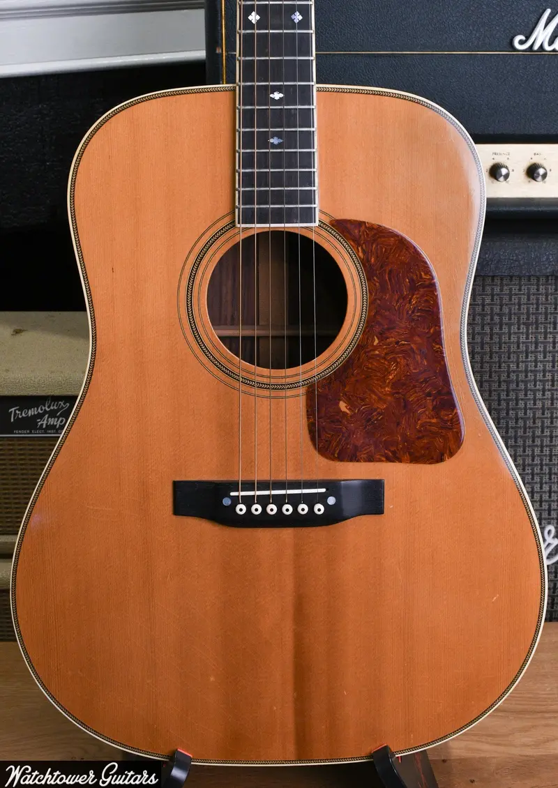 1979 Gallagher G-70 Natural 1