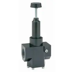 2" Threading Pressure Regulator 1