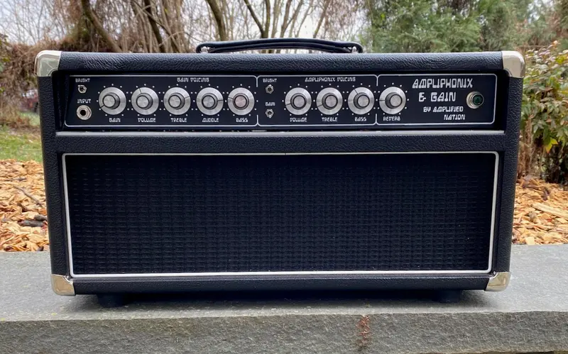 2019 Amplified Nation Ampliphonix & Gain 50 Watt Head 1