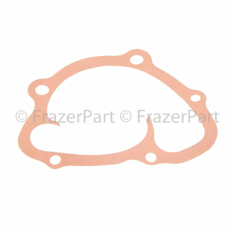 924 (2.0L Incl Turbo) Water Pump Gasket & Seal 1