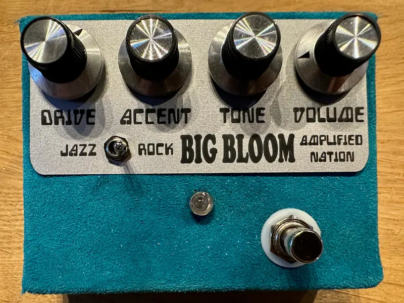 Amplified Nation Big Bloom 1