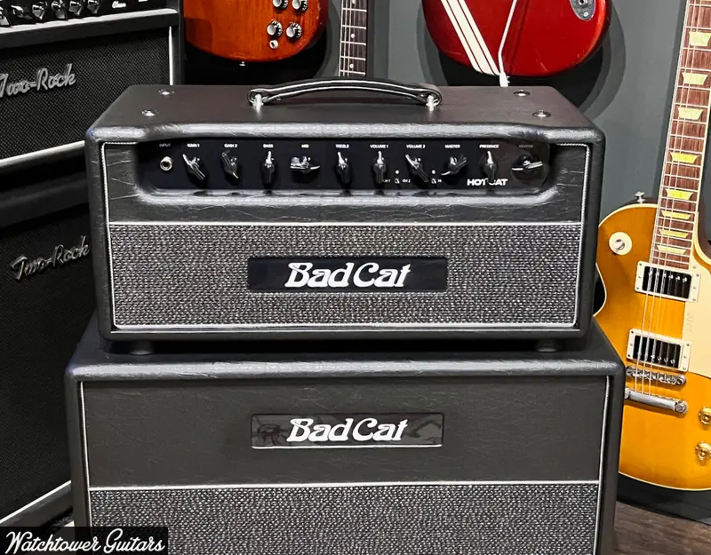 Bad Cat Hot Cat Head Black Tolex 1