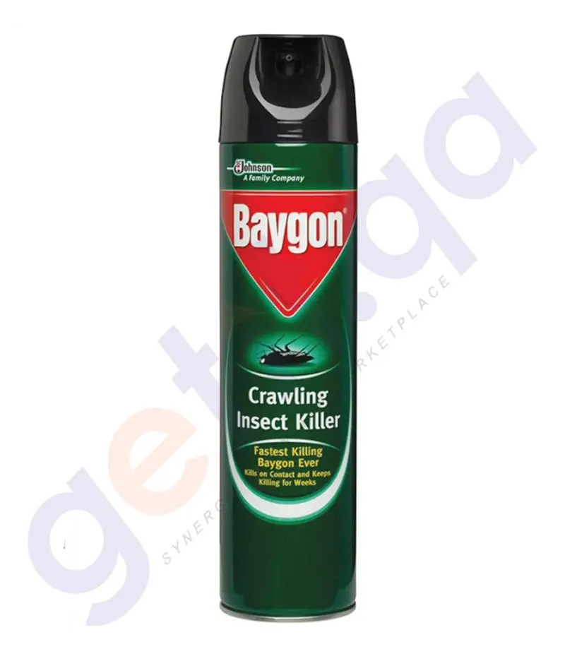 Baygon Crawling Insect Killer 1