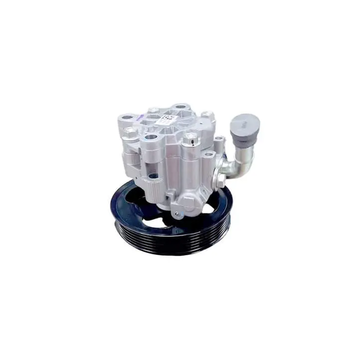 Bomba Direccion Hidraulica Maxus 1