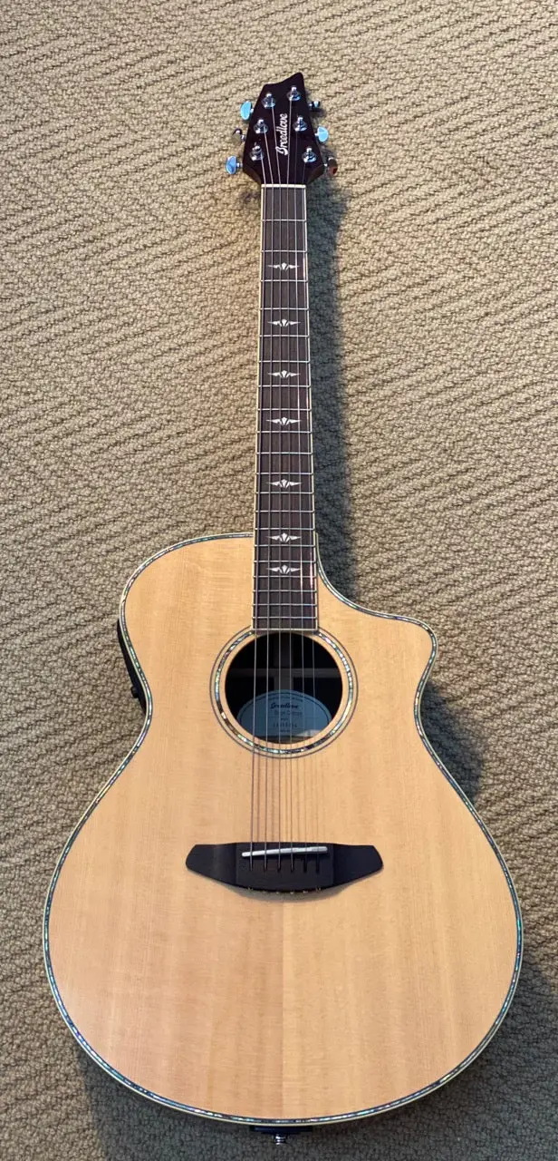 Breedlove Stage Concert With Hardshell Case 1