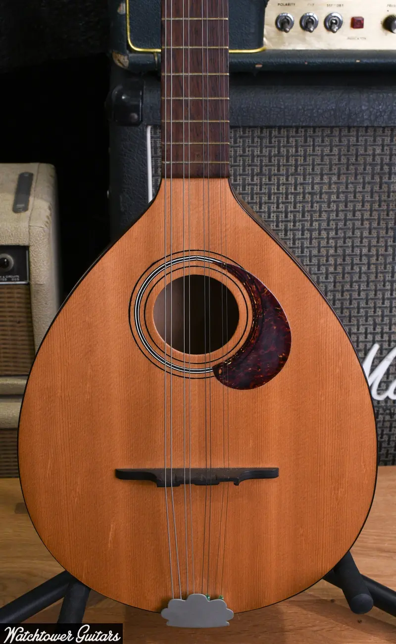 Cittern 8-String 1