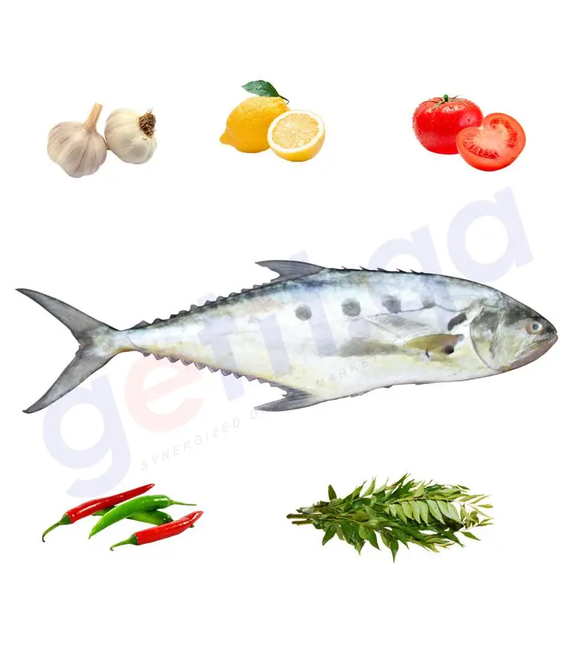 Dhal'a - ضلعه - Talang Queenfish Whole Fish 1