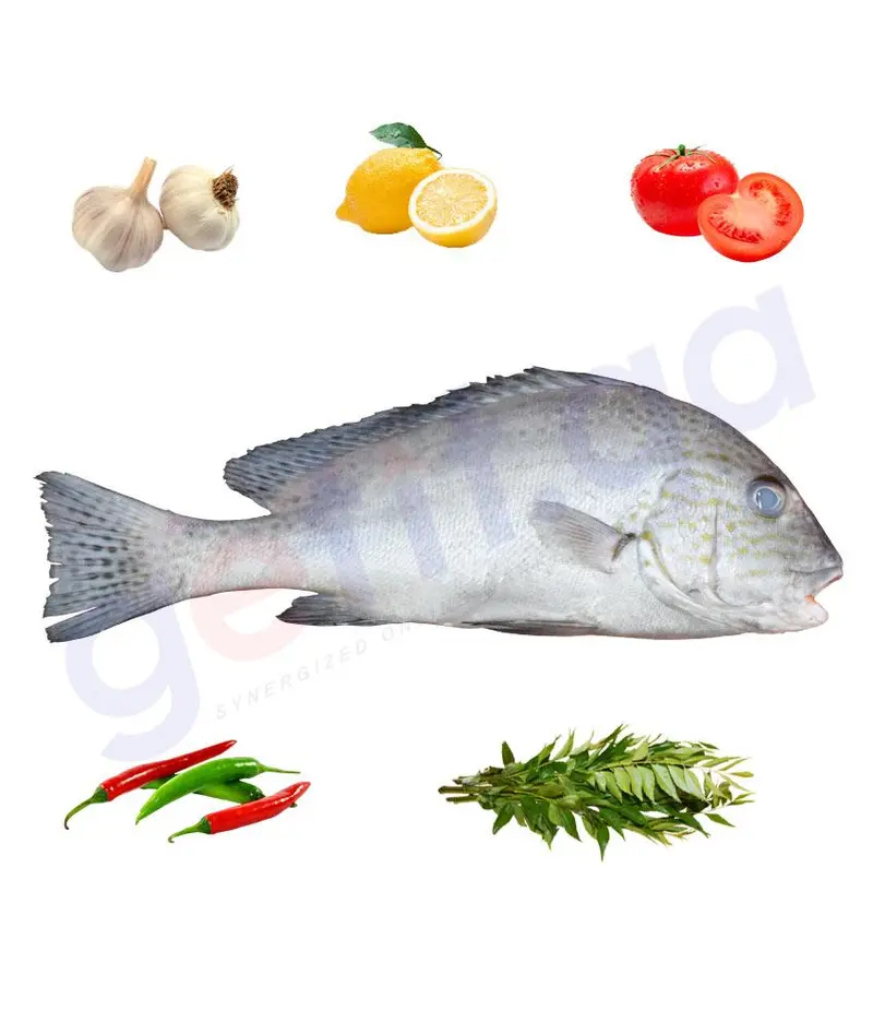 Farsh - فرش - Painted Sweetlips 1Kg 1