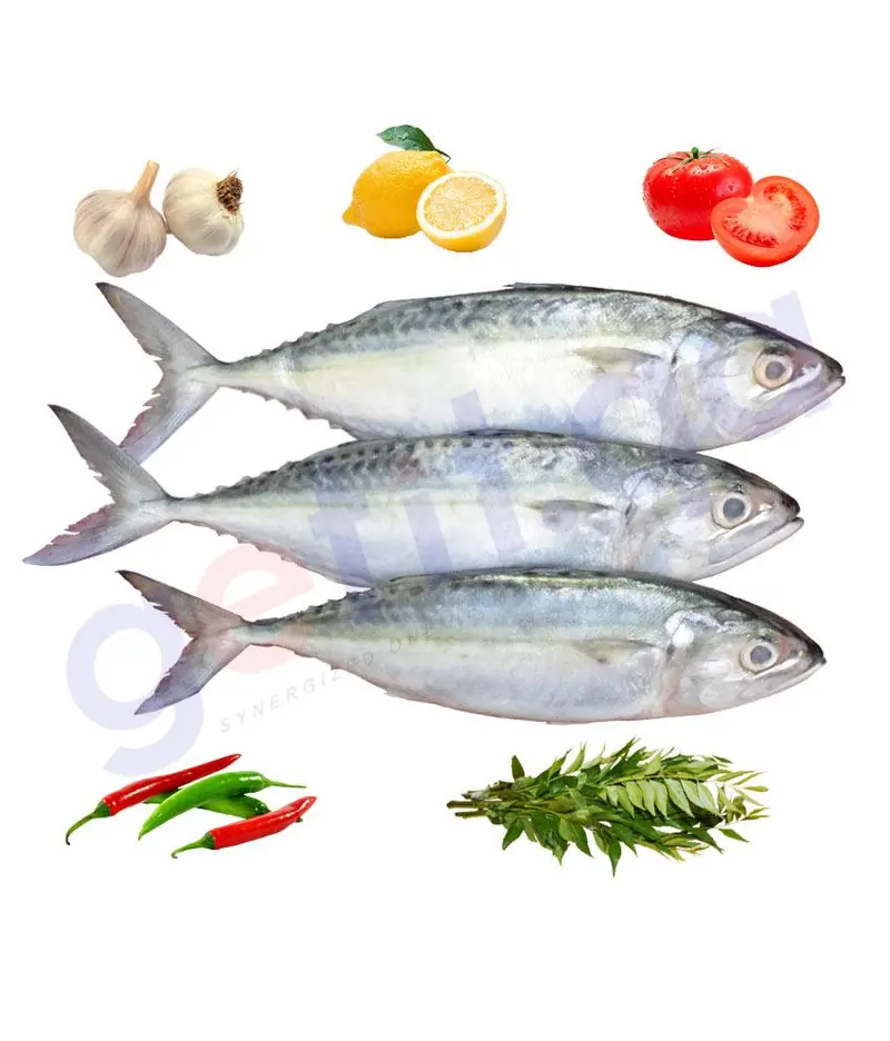 Frozen Mackerel Ayala Oman 1