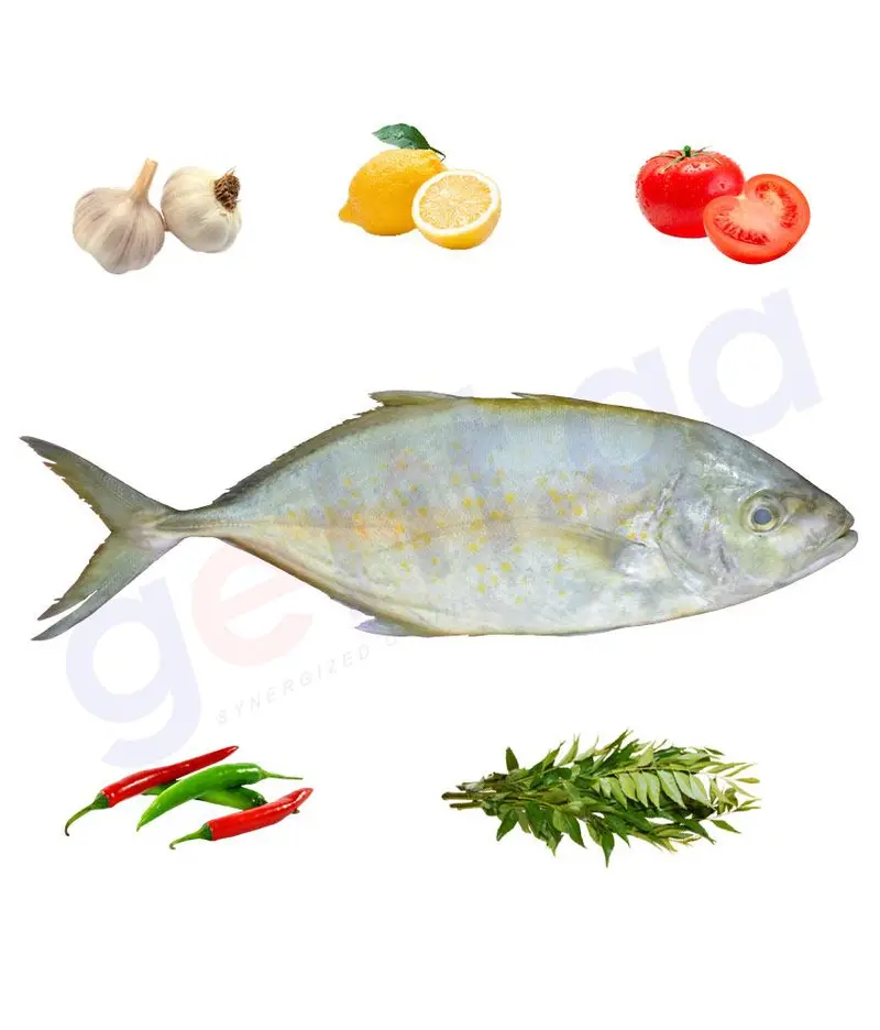 Jash - جش - Whitefin Travally (Medium) Whole Fish 1