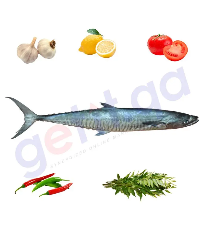 King Fish (Small)- كنعد -  Chanad 1