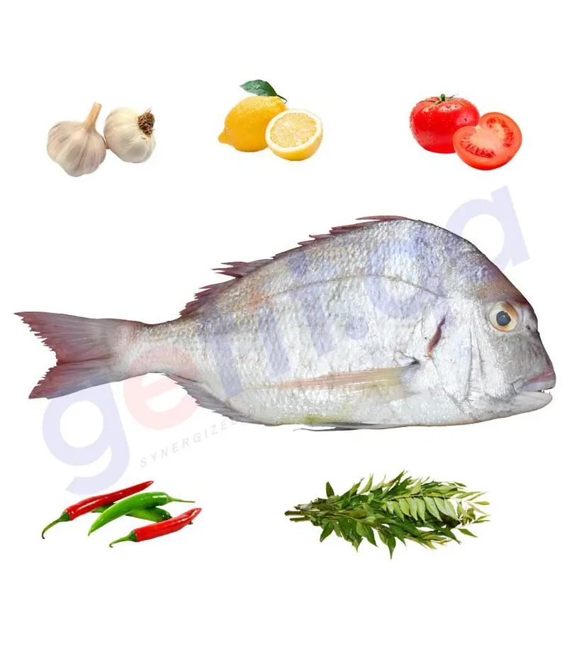 Kofer - كوفر -  Soldier Bream 1Kg 1