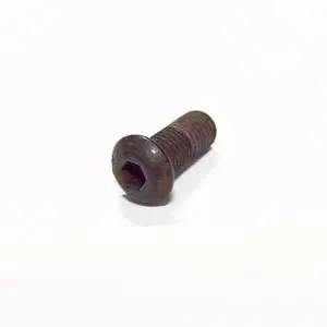 Lincoln Industrial 252877 Button Head Screw 1/4" X 1/2" For Flowmaster Rotary Driven Electric Pump 1