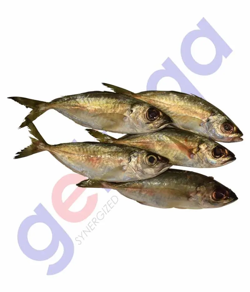 Mackerel (Ayala Kana) 1