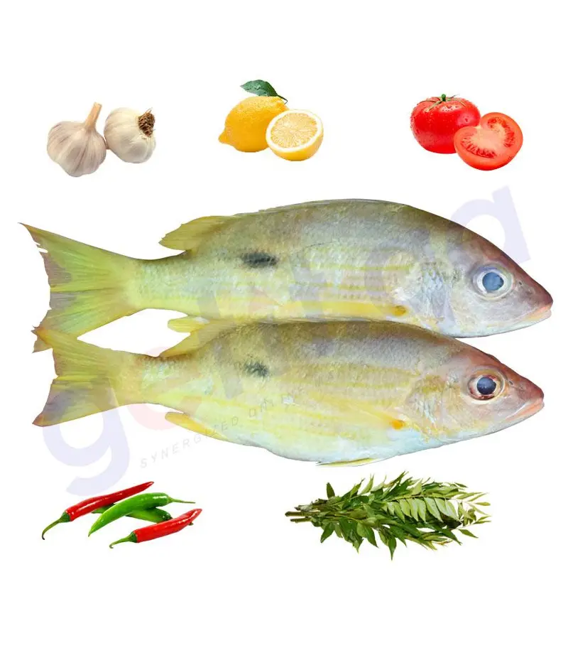 Naiser - نيسر - Blackspot Snapper 1Kg 1