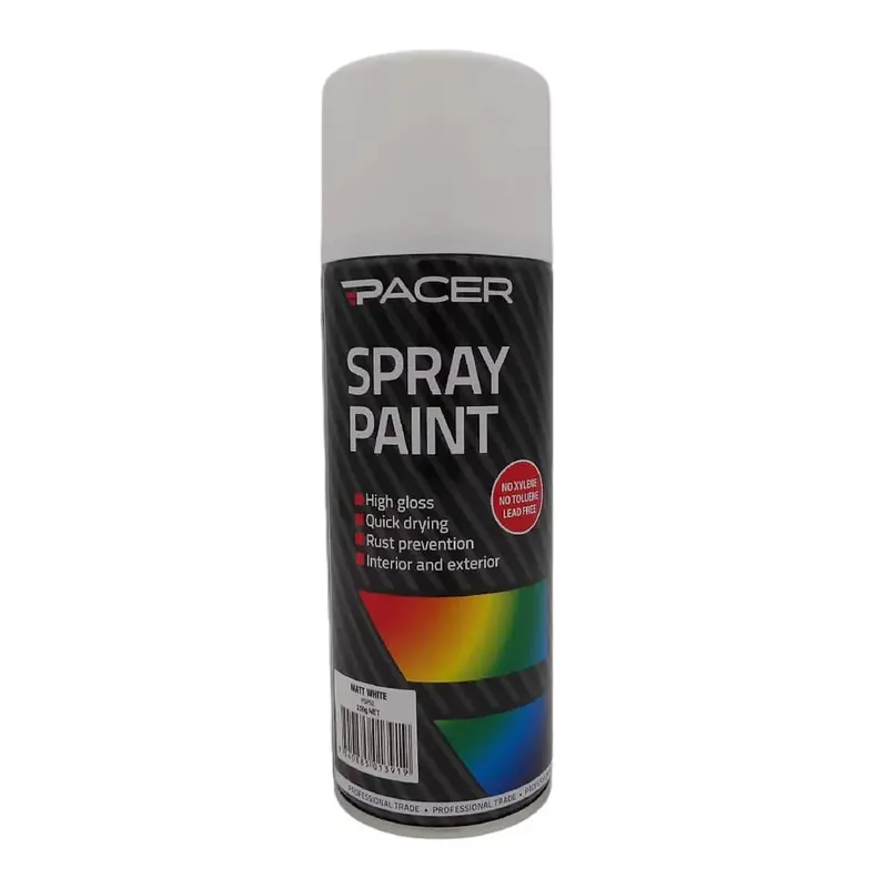 Pacer Spray Paint - Matt White 250Gm - Psp52 1