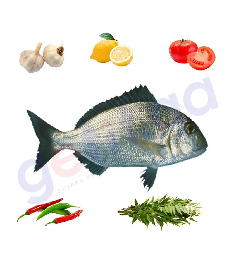 Qurqufan - قرقفان - Haffara Seabream 1Kg 1