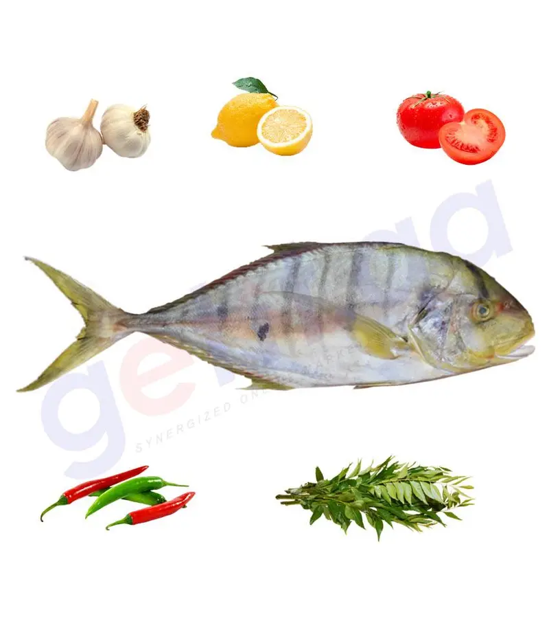 Rabeeb (Medium) - ربيب - Goldtoothless Treavally ( Whole Fish ) 1
