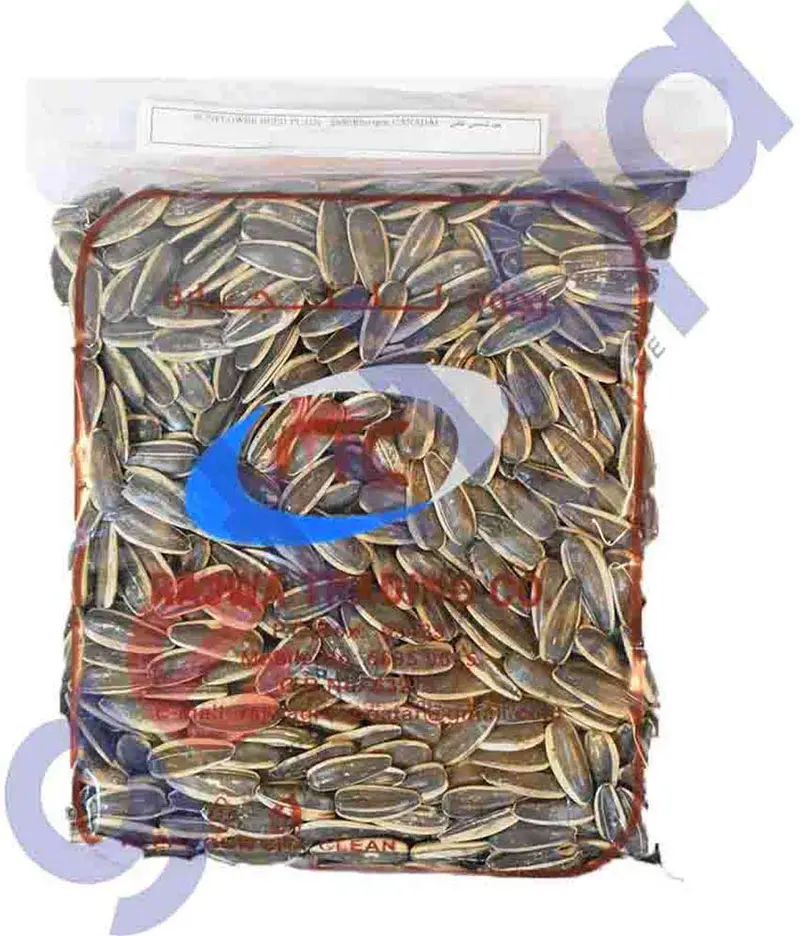 Rajwa Sunflower Seed Plain 150Gm 1