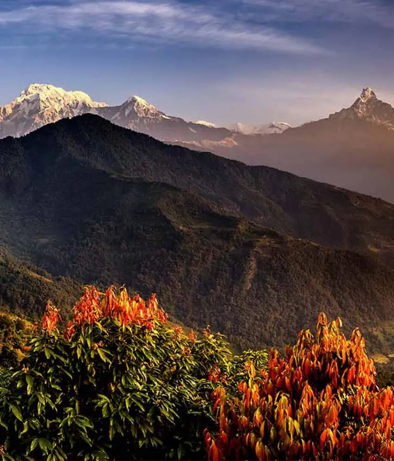 Request For Free Quote-  Adventurous Nepal 1