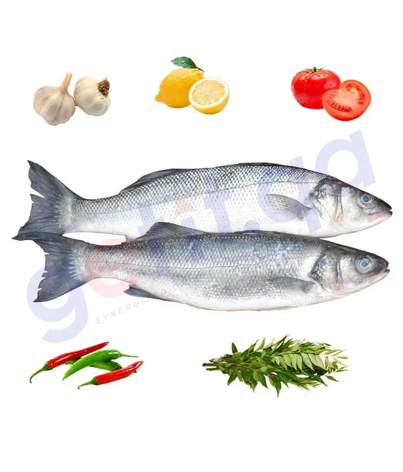Sea Bass   -   ﻗﺎﺭﻭﺹ Centropristis Striata 1Kg 1