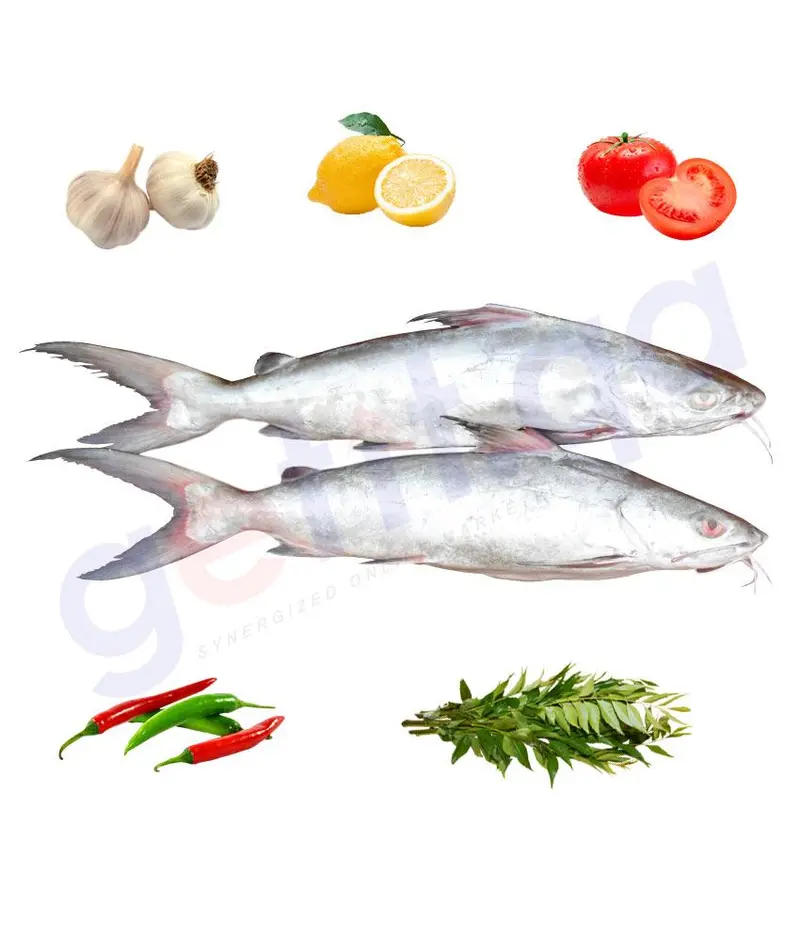 Shim - شم - Giant Sea Catfish 1Kg 1