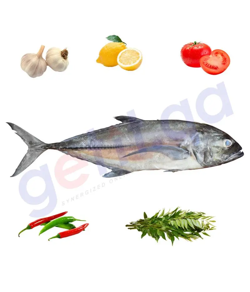 Subaiti - سبيطى - Sobaity Seabream 1