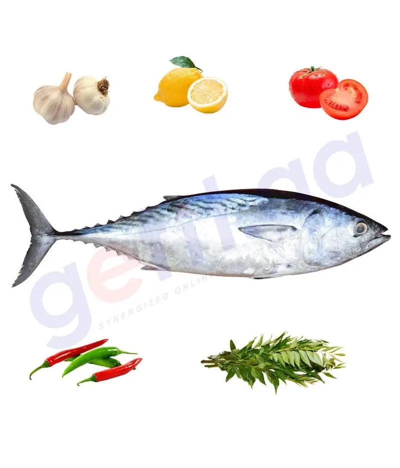 Tabban - تبان - Tuna - Big 1
