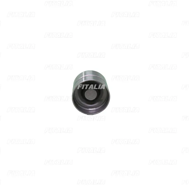 Taquie Valvula Hidraulico Hyundai-Kia Accent/Getz/Rio Jb/Elantra/Cerato 1