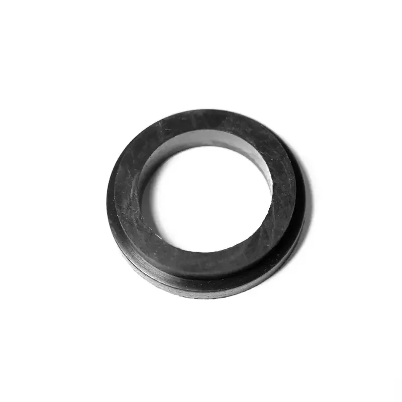 Two-Lug Kf Hose Coupling Gasket 1